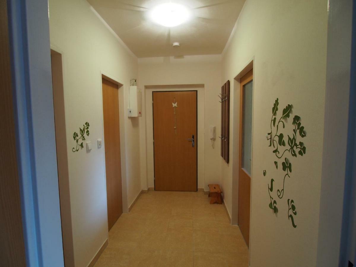 شقة ديشتني في أورليتسكيخ هوراخ  في Apartman V Destnem المظهر الخارجي الصورة
